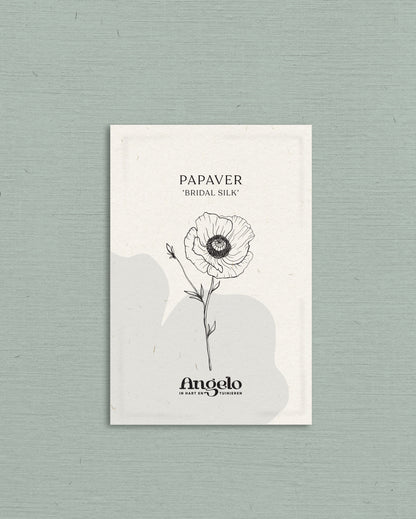 Papaver rhoeas &