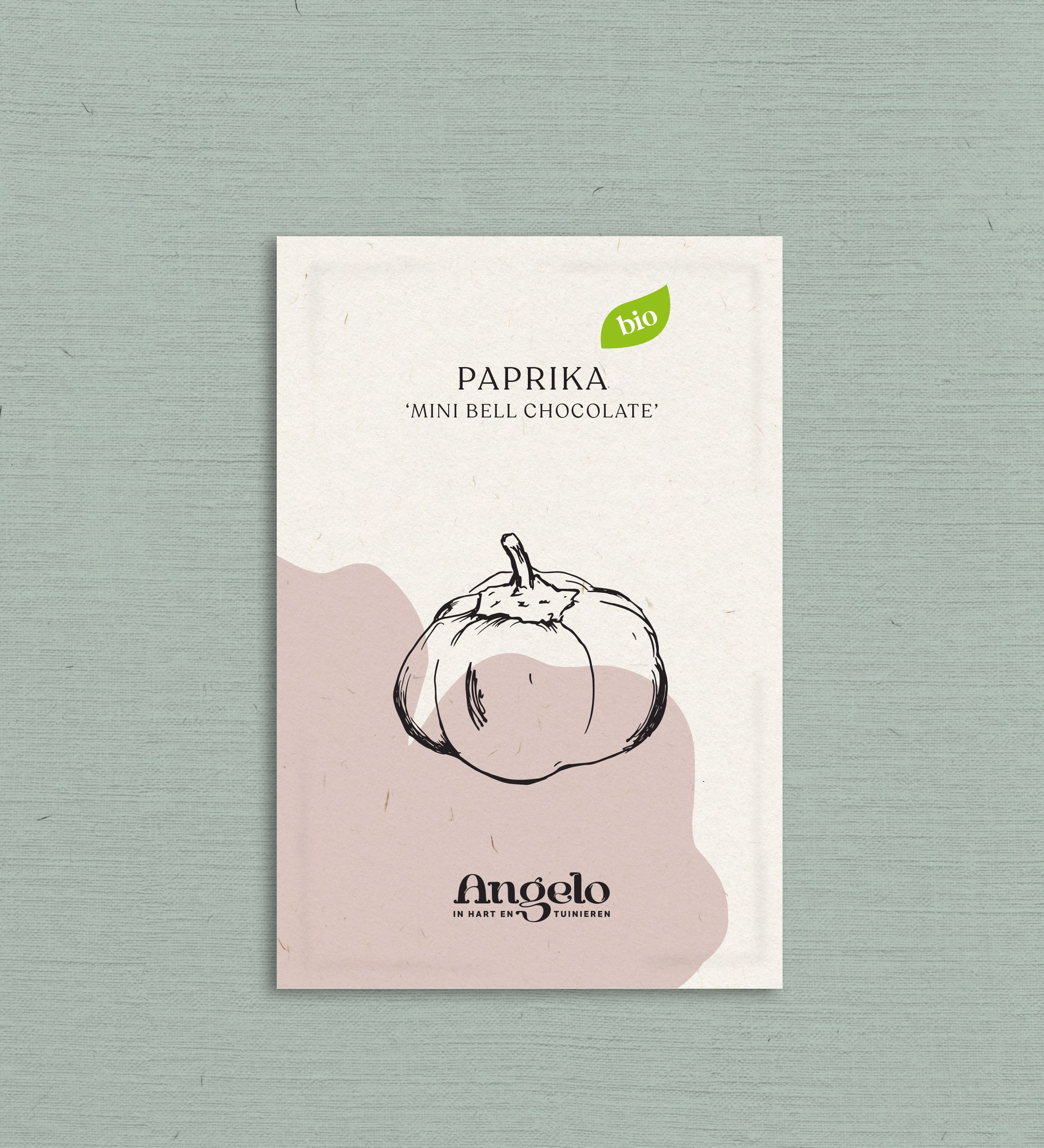 Paprika 'Mini Bell Chocolate'-Angelo