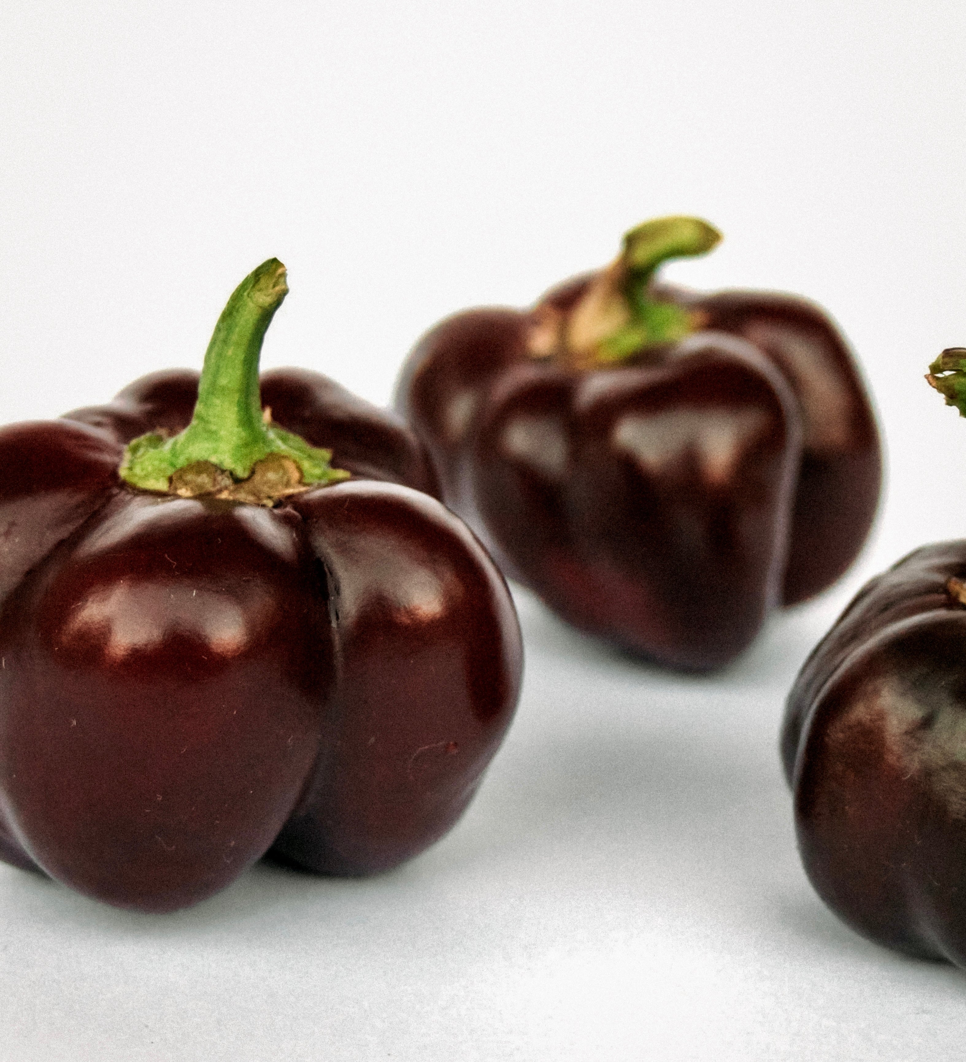 Paprika 'Mini Bell Chocolate'-Angelo