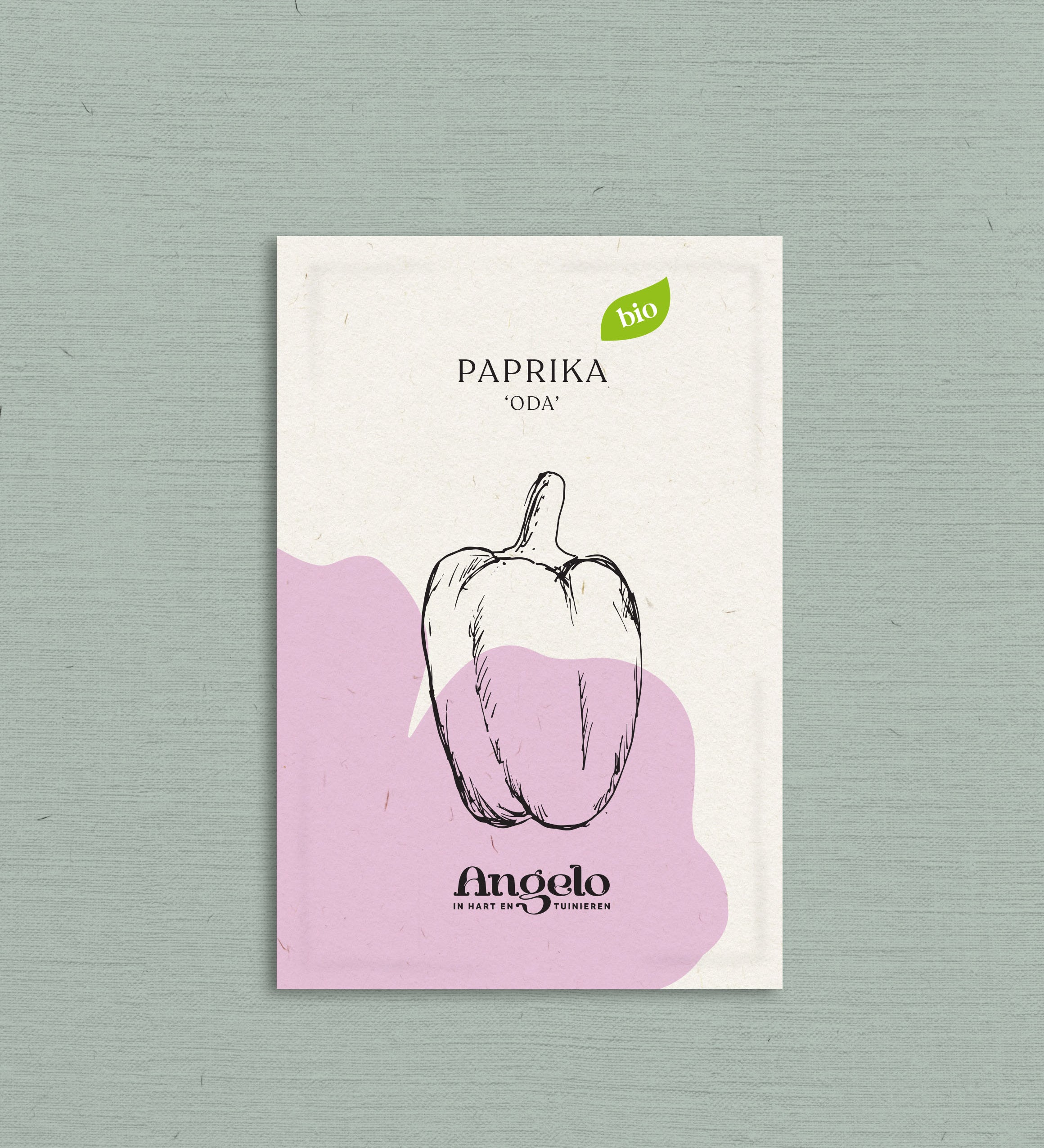 Paprika 'Oda'-Angelo
