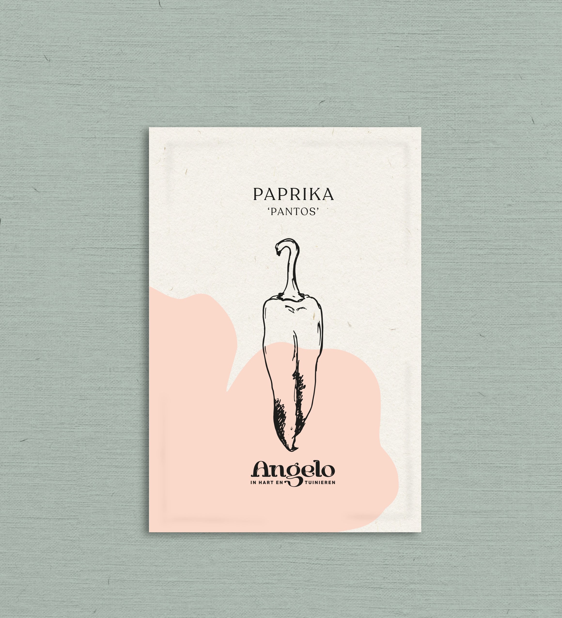 Paprika 'Pantos'-Angelo
