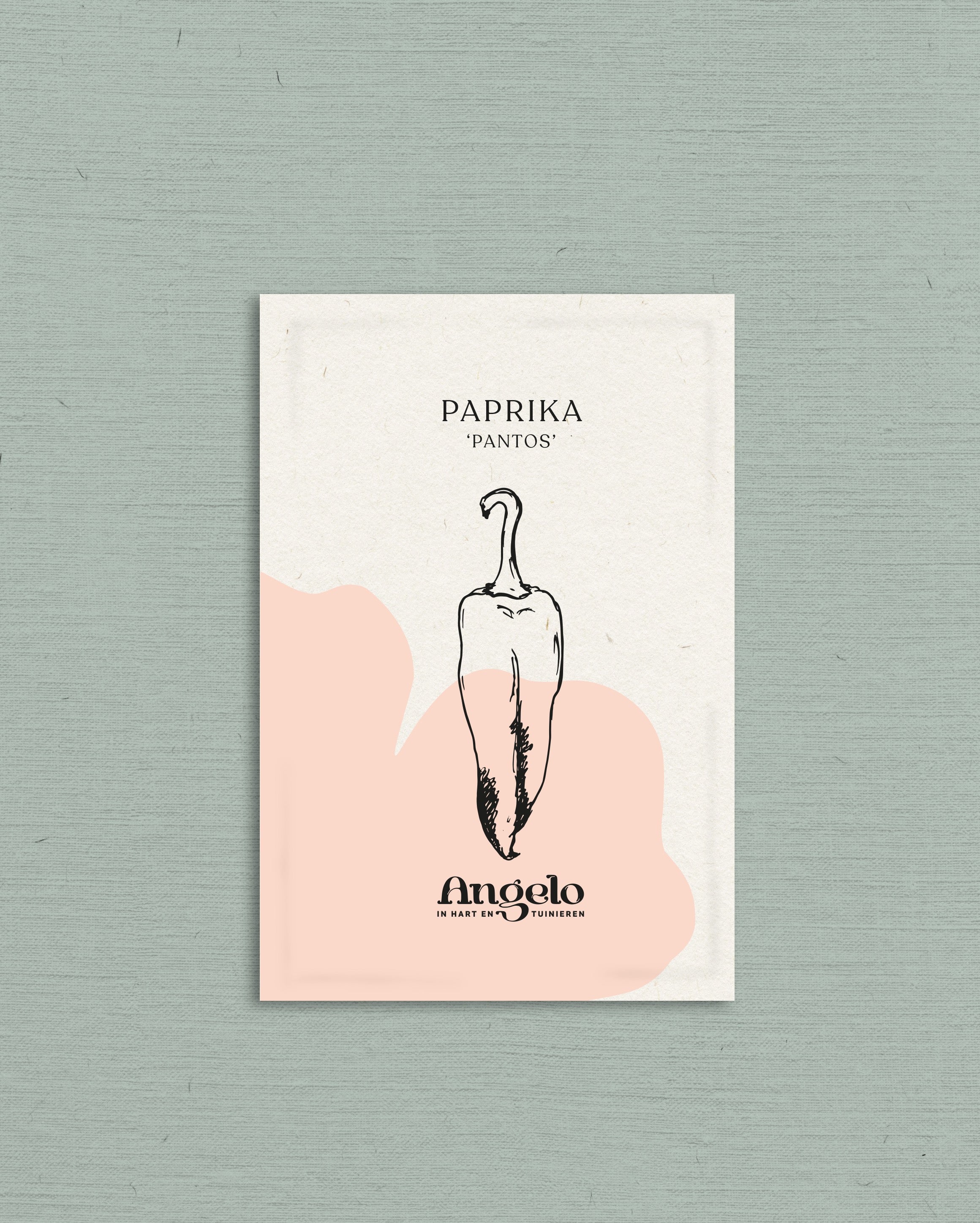 Paprika 'Pantos'-Angelo