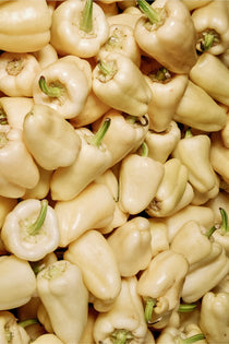 Paprika 'White Bell'-Angelo