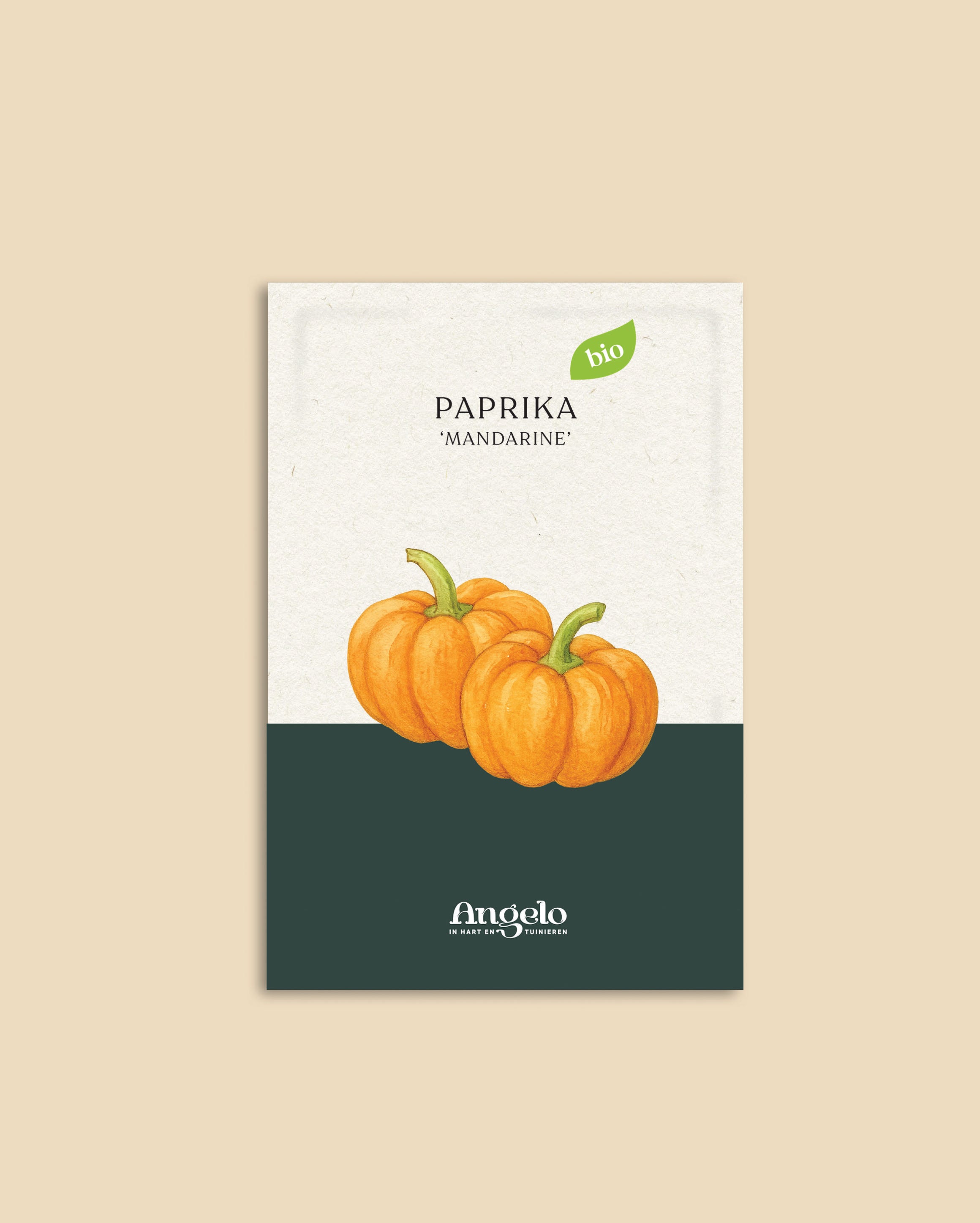 Paprika 'Mandarine'-Angelo