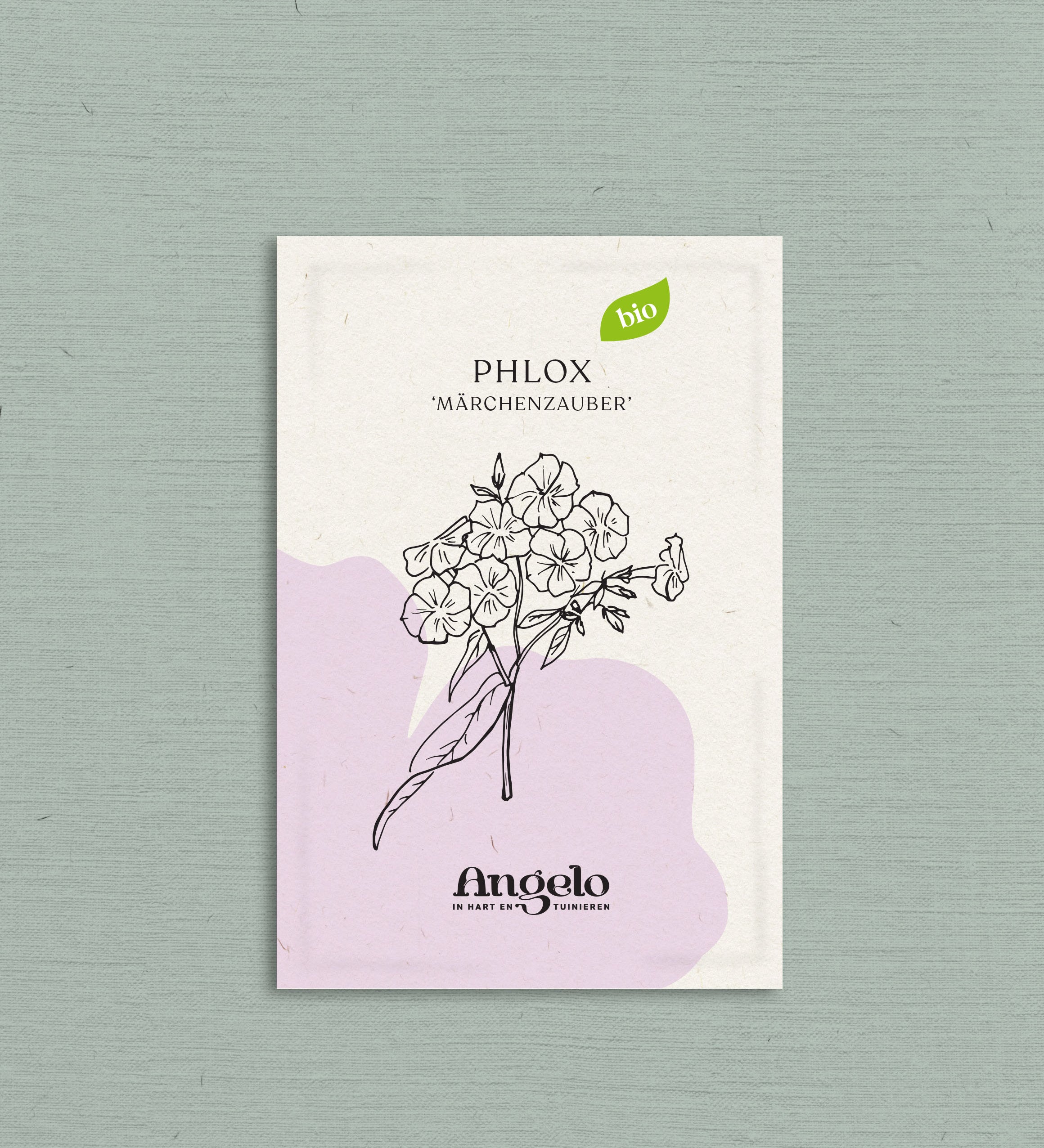 Phlox drummondii 'Märchenzauber'-Angelo
