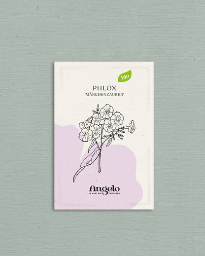 Phlox drummondii &