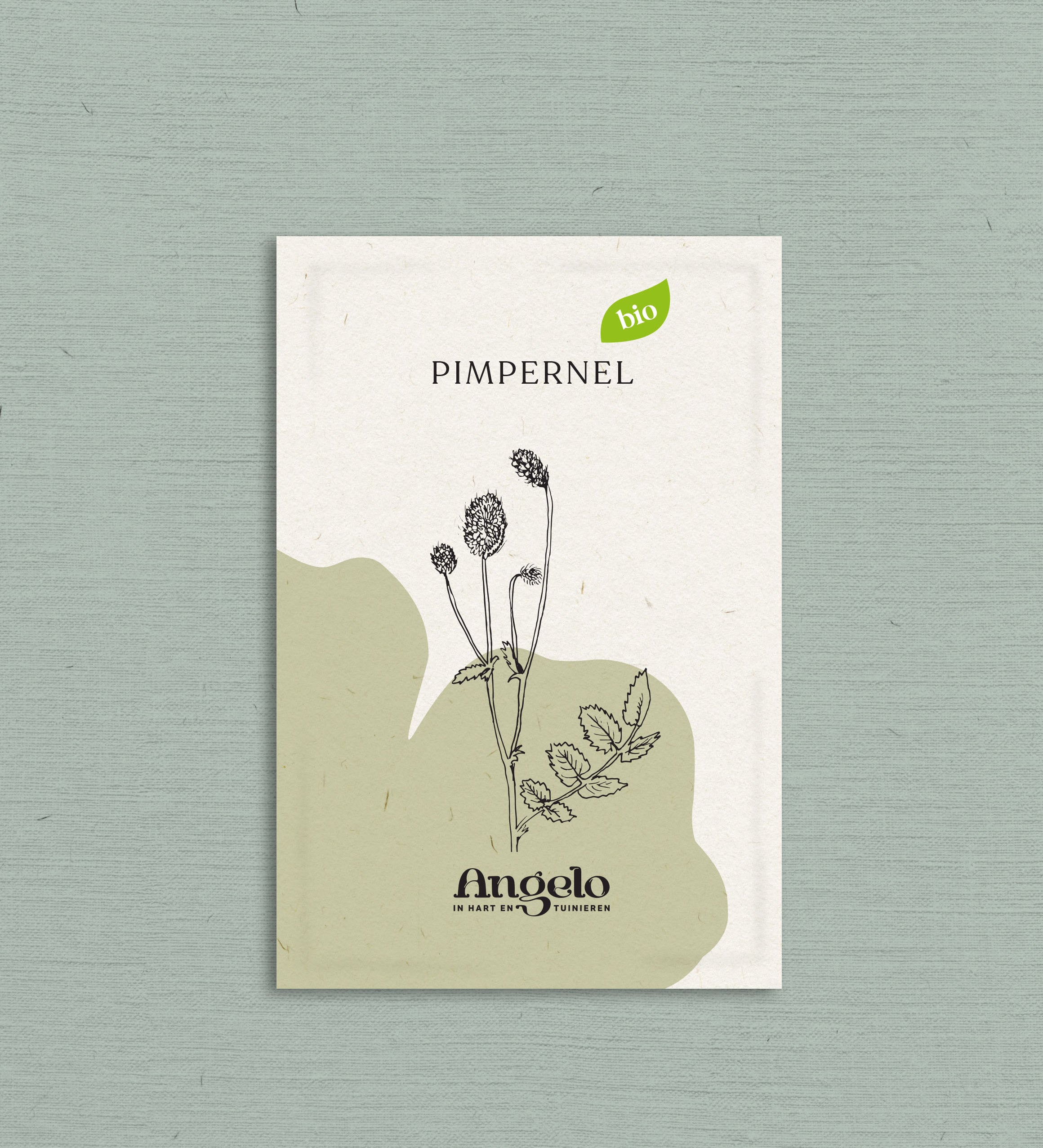 Pimpernel-Angelo