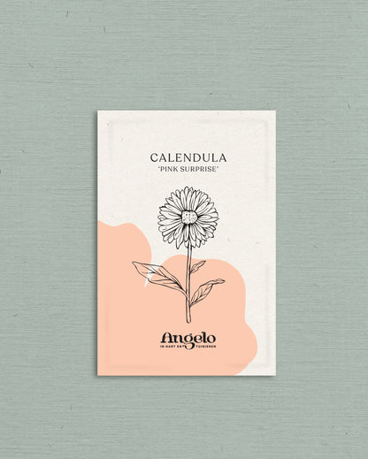 Calendula officinalis &