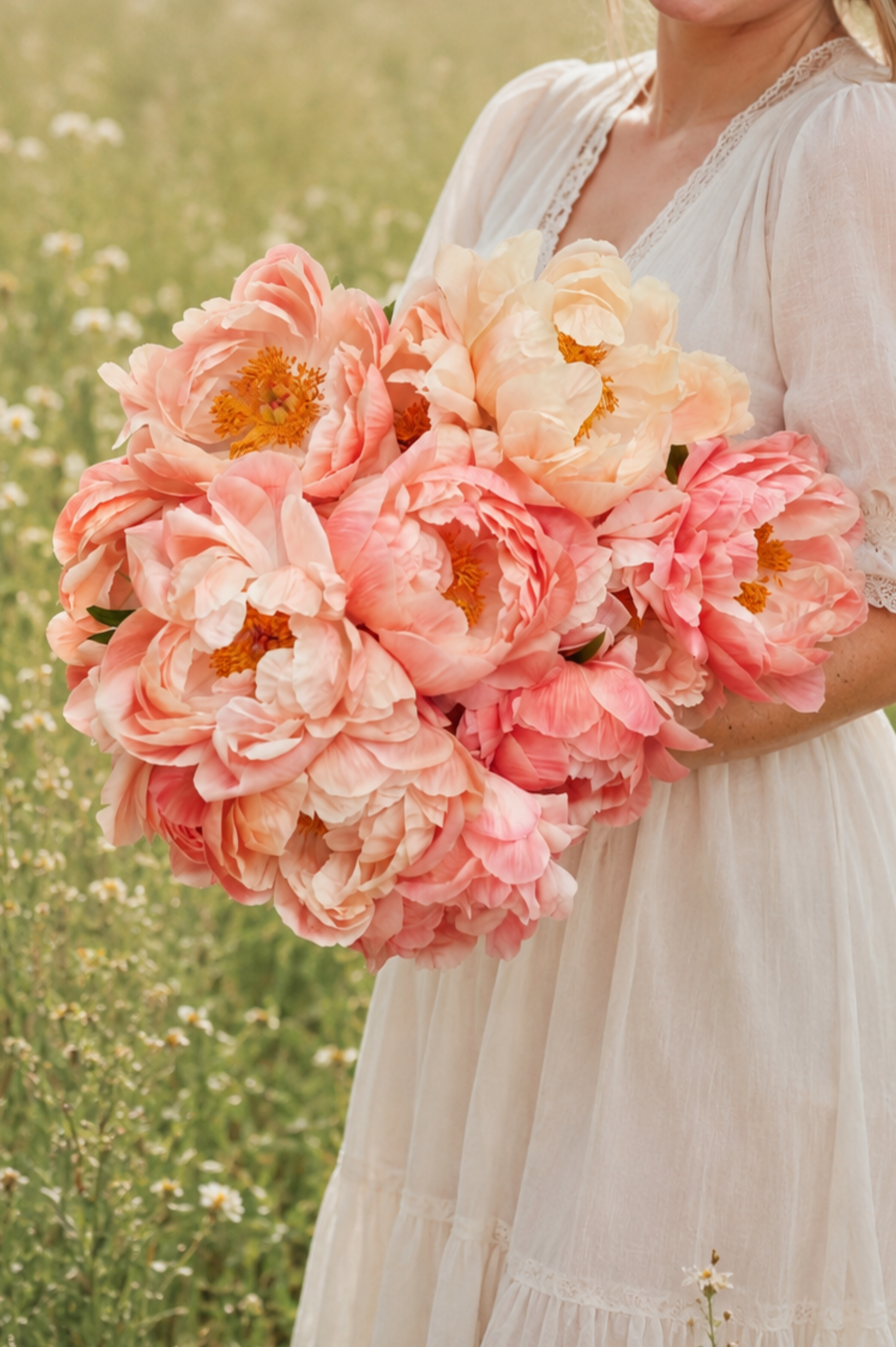Pioen 'Coral Sunset'