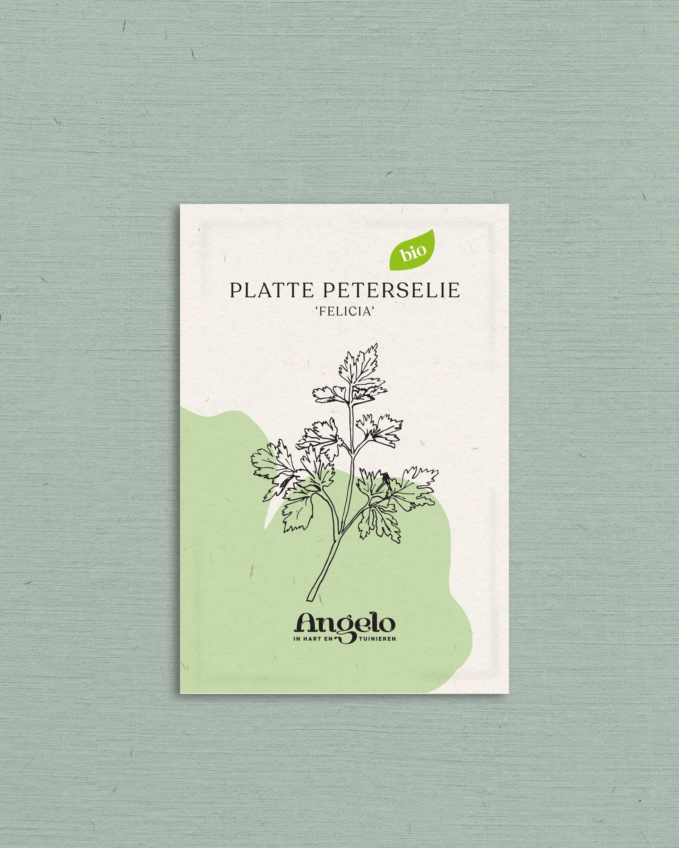 Platte peterselie 'Felicia'-Angelo