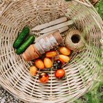 Plukpakket: Een biologische moestuin-Angelo