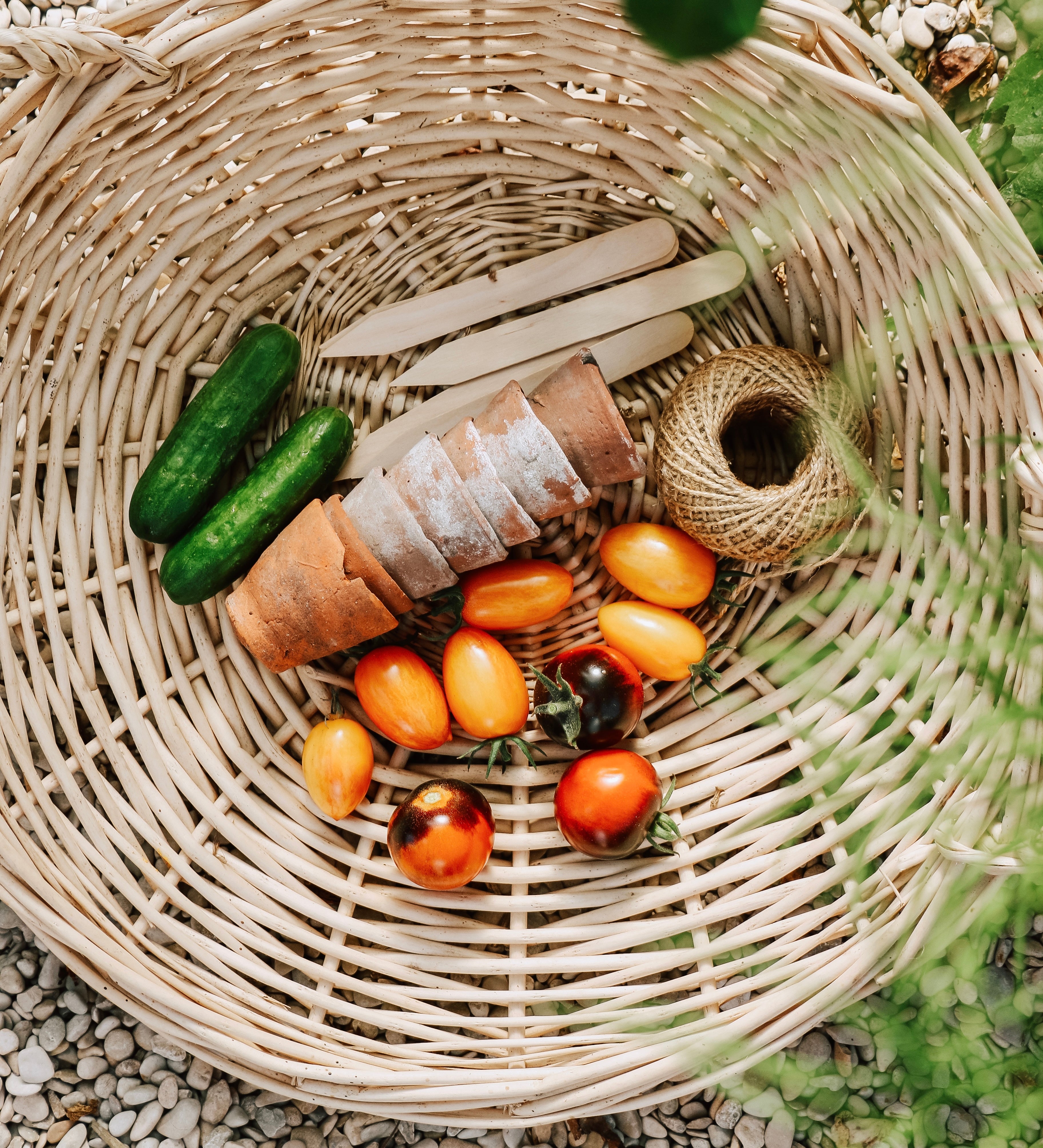 Plukpakket: Een biologische moestuin-Angelo
