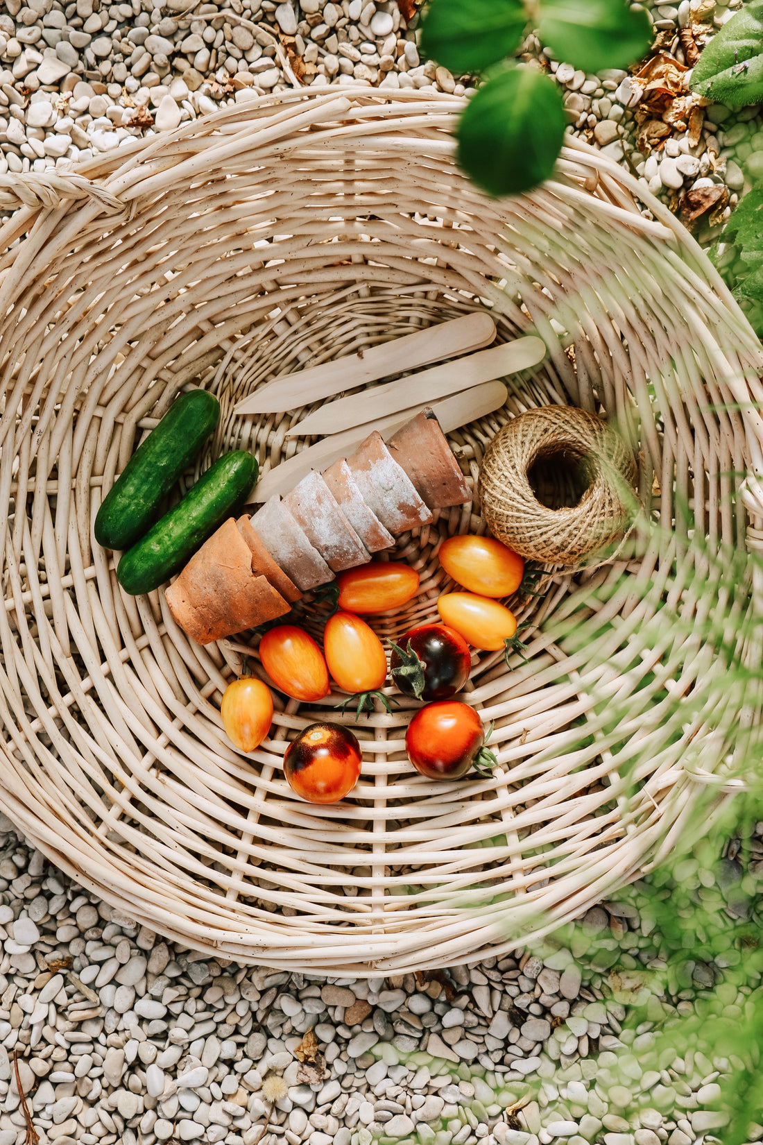 Plukpakket: Een biologische moestuin-Angelo