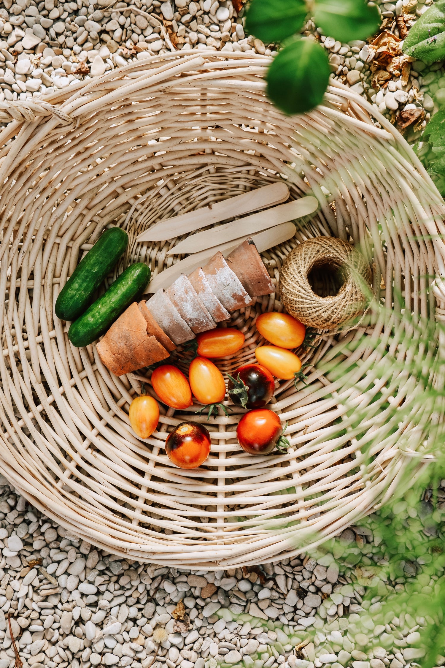 Plukpakket: Een biologische moestuin-Angelo