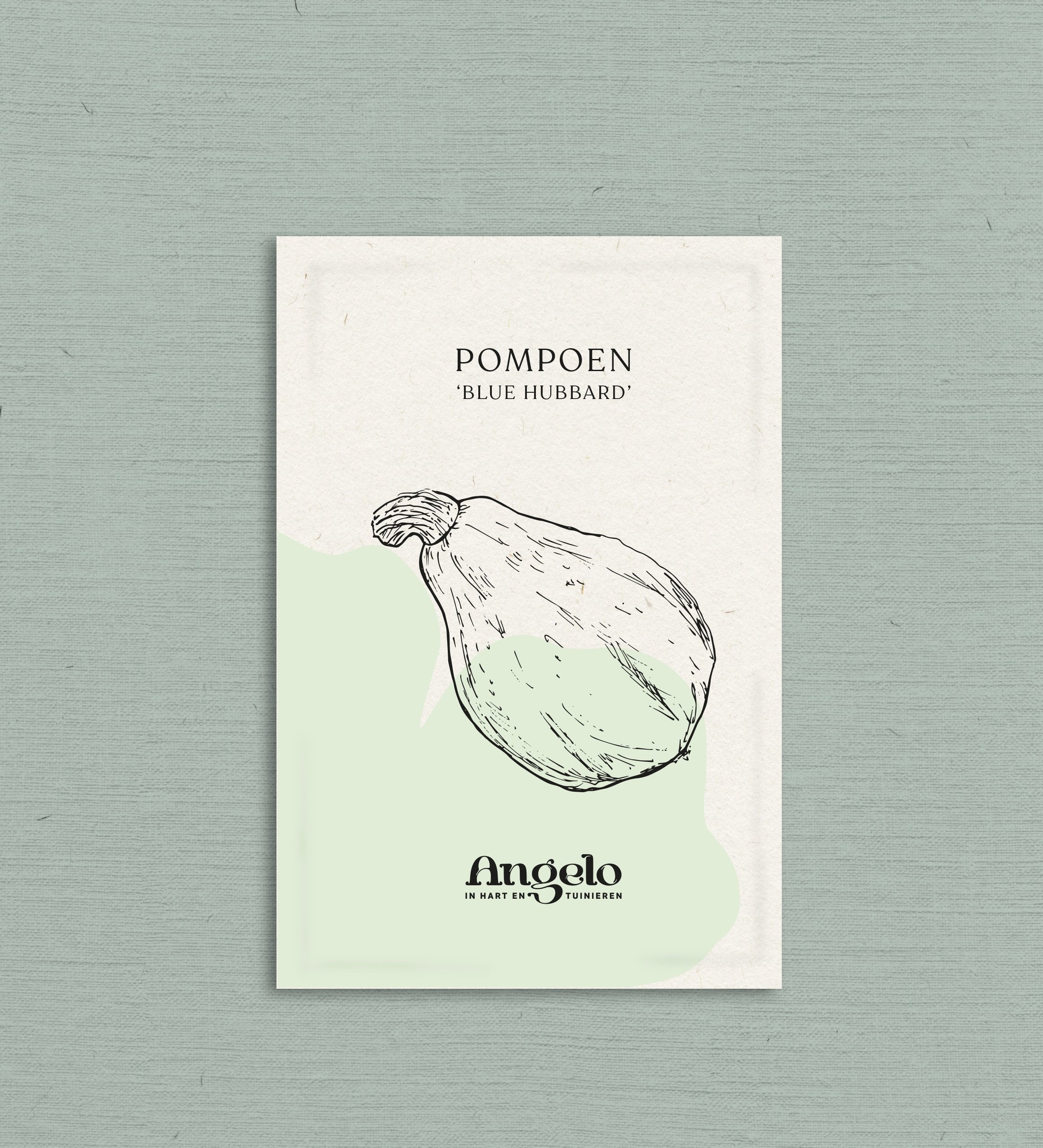 Pompoen 'Blue Hubbard'-Angelo