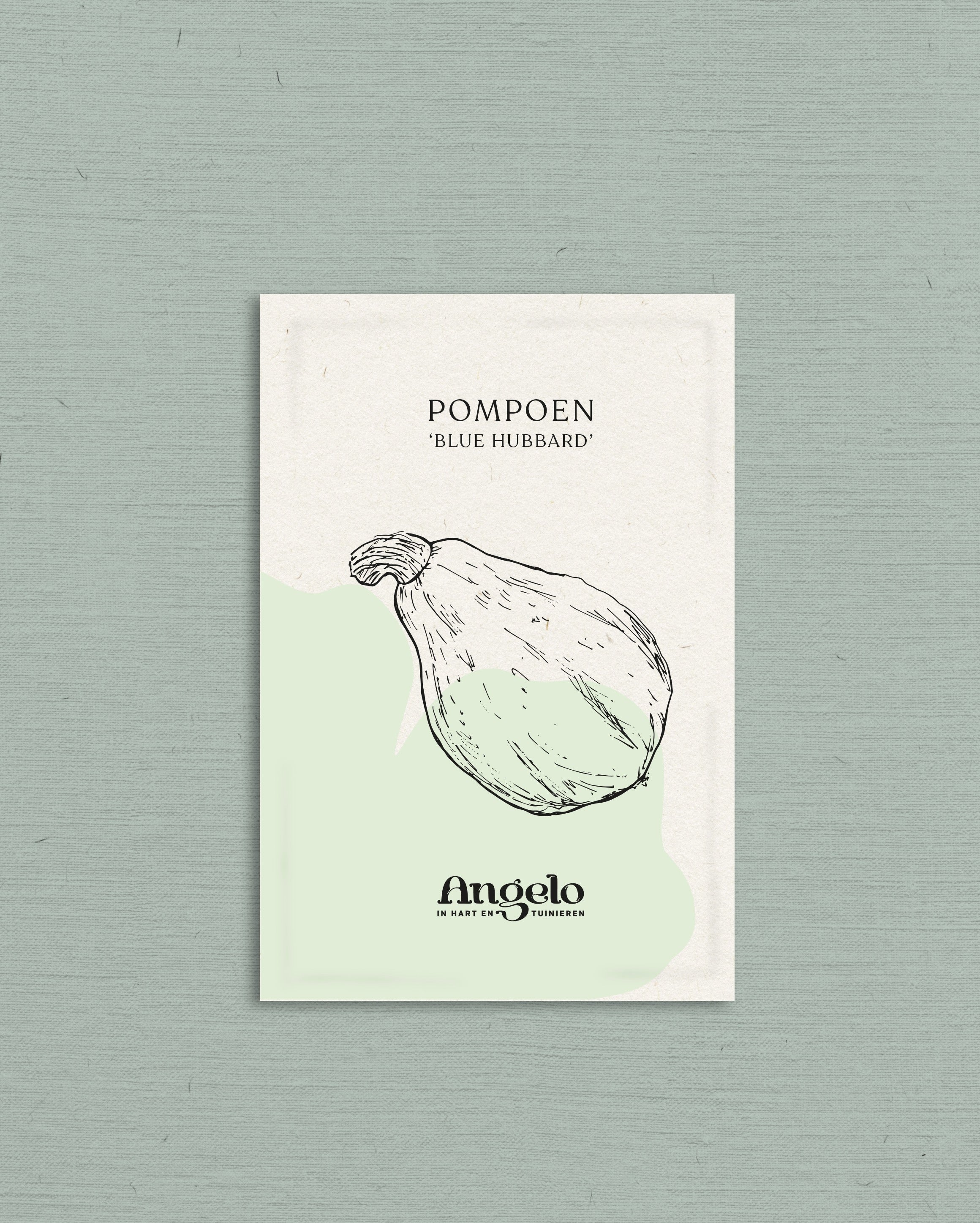 Pompoen 'Blue Hubbard'-Angelo