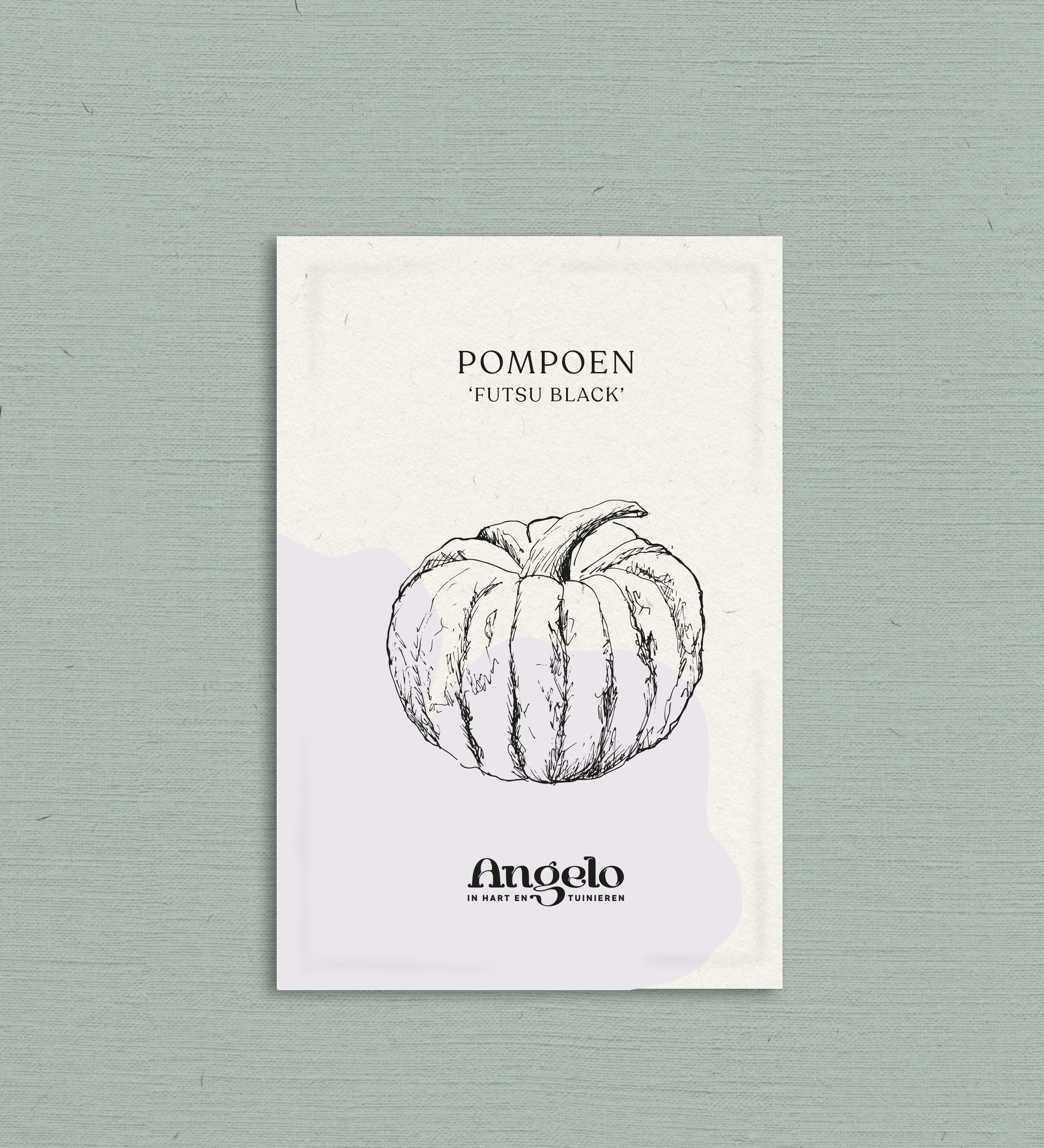 Pompoen 'Futsu Black'-Angelo