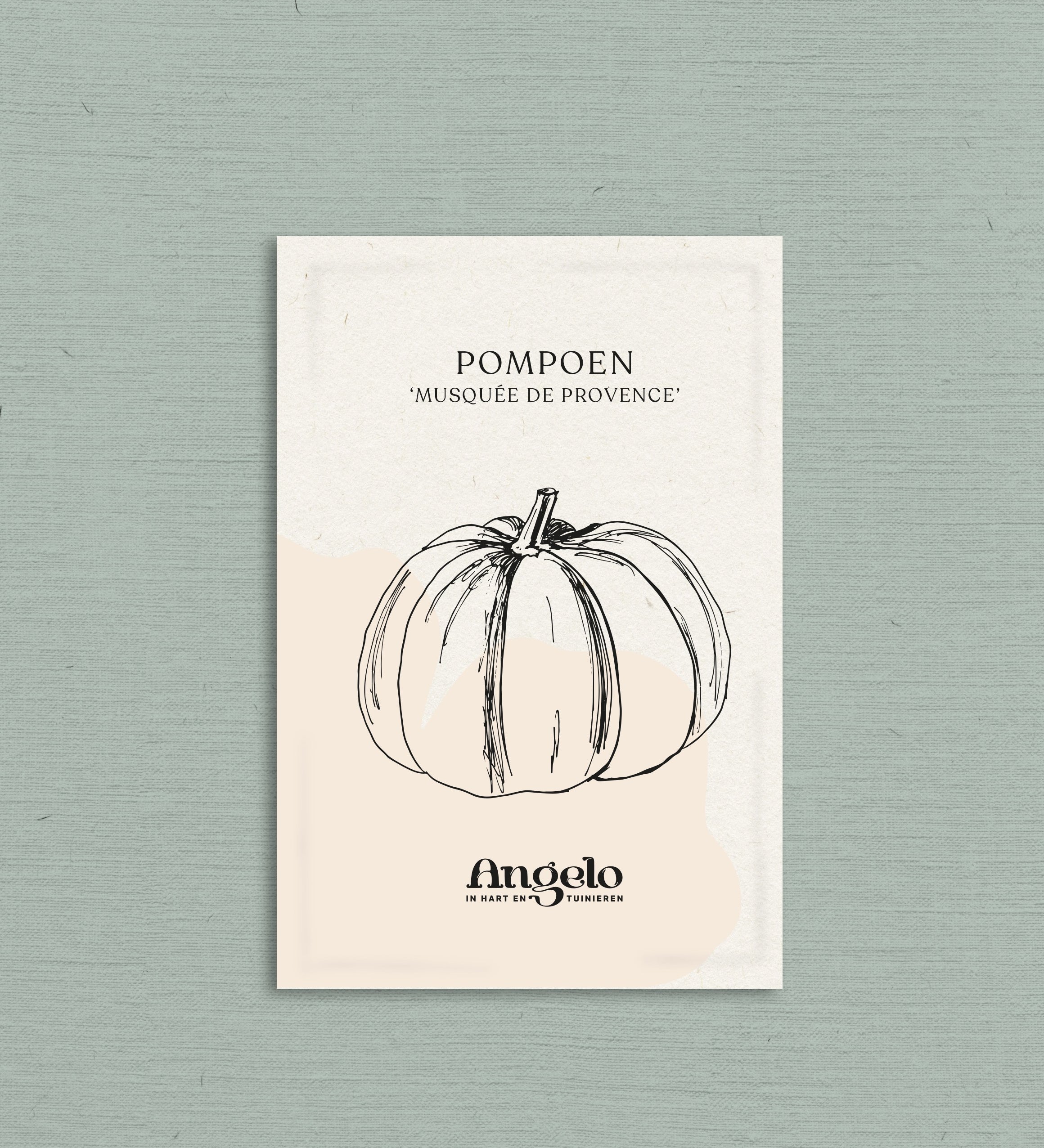 Pompoen 'Musquée de Provence'-Angelo