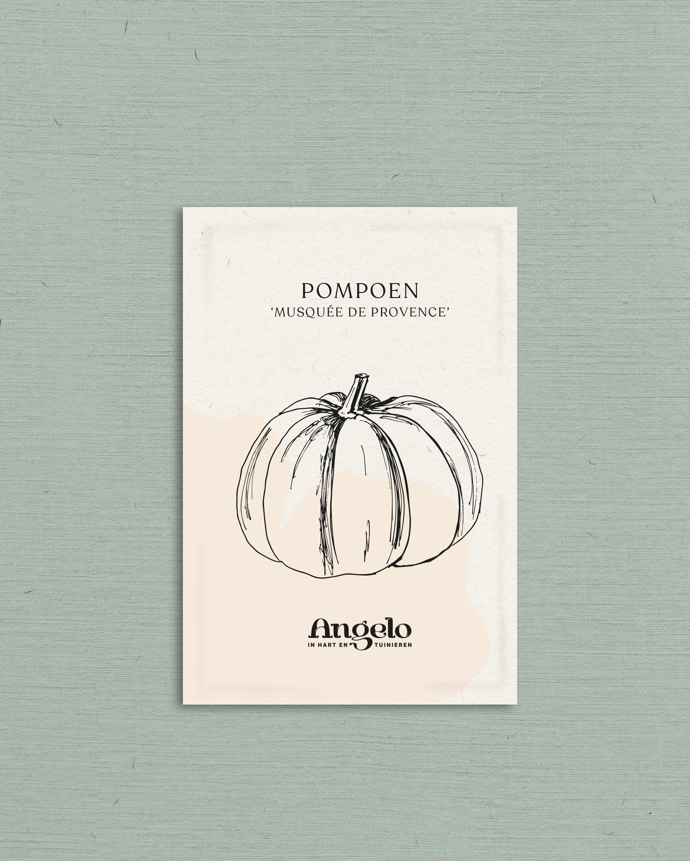Pompoen 'Musquée de Provence'-Angelo