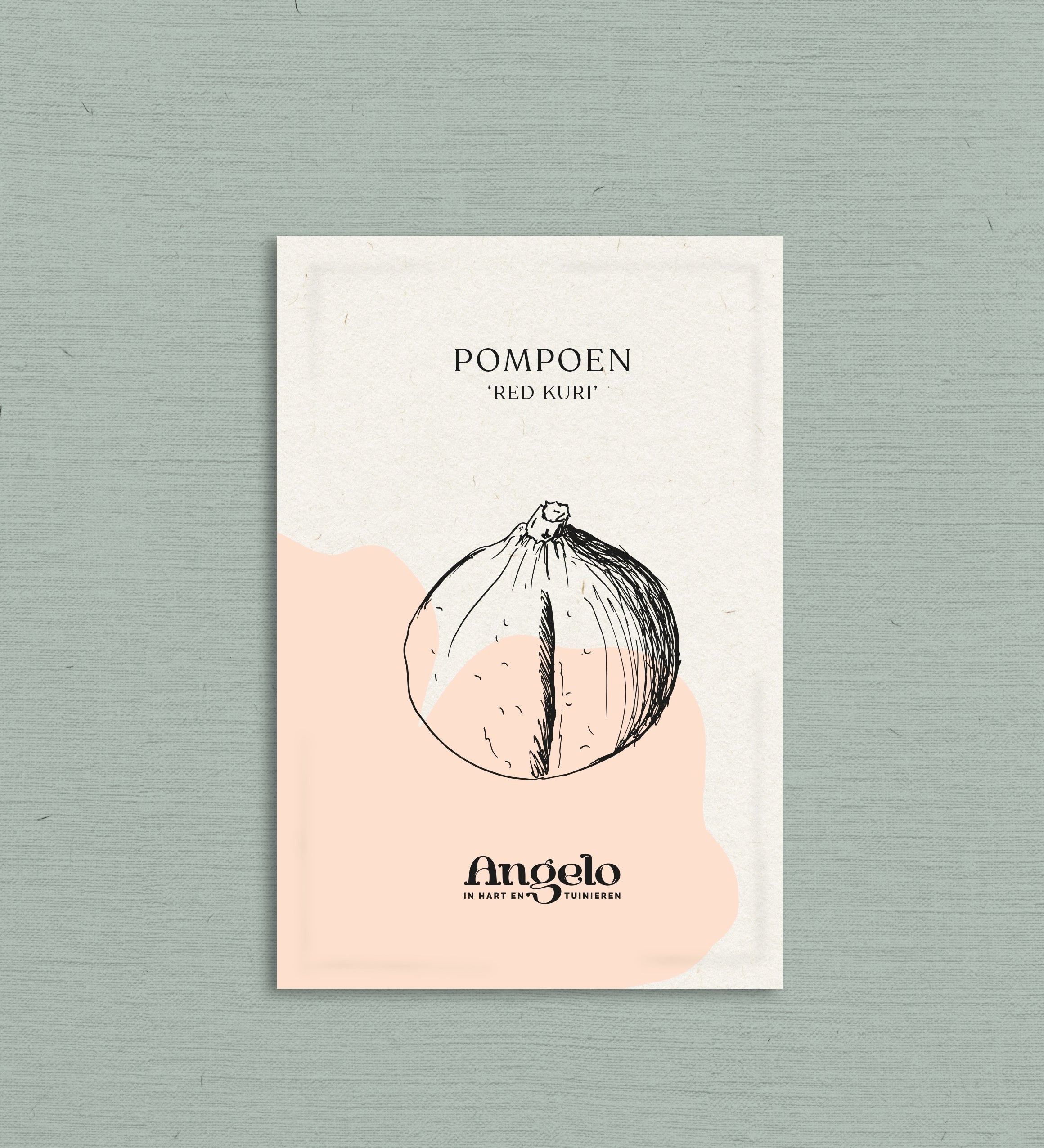 Pompoen 'Red Kuri'-Angelo