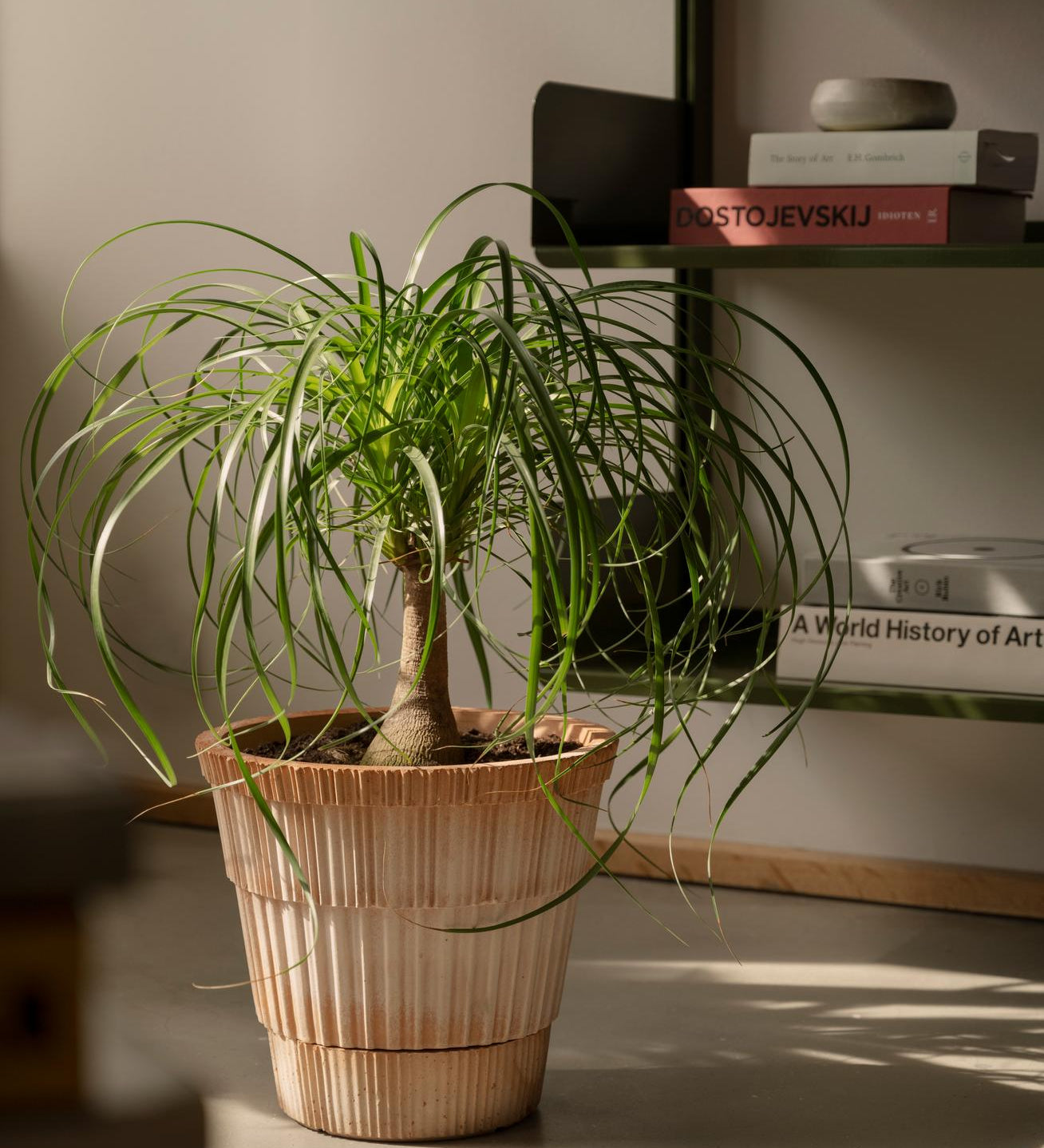 Pot Atlas-Angelo