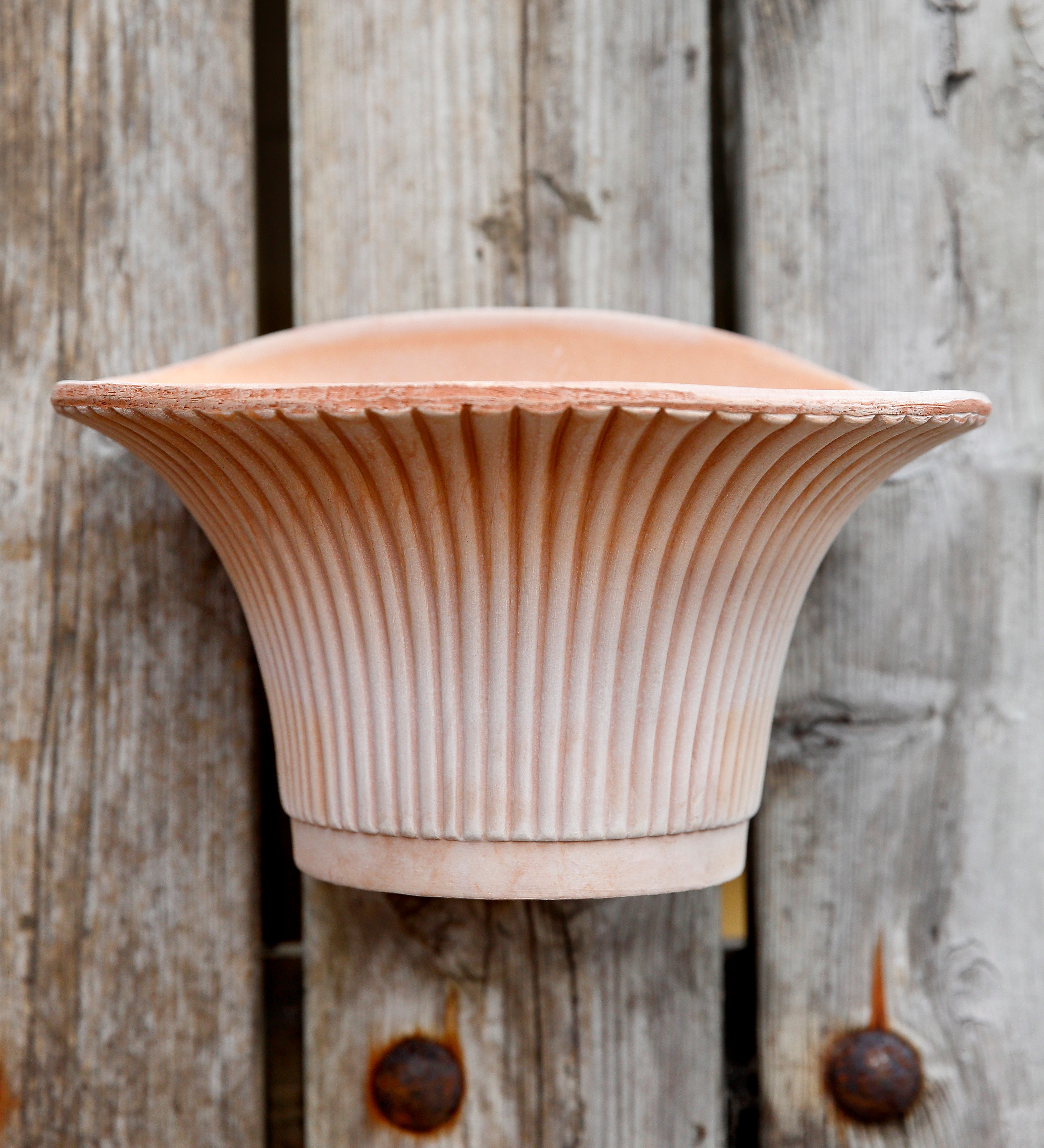 Pot Daisy Wallpot-Angelo
