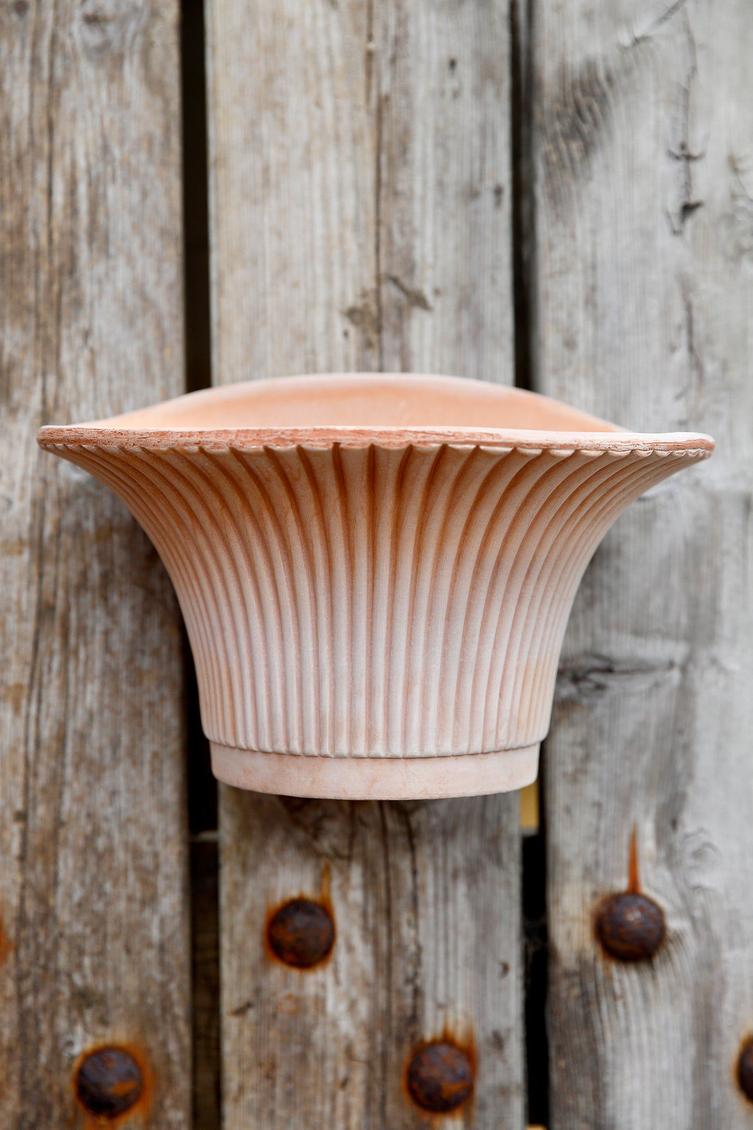 Pot Daisy Wallpot-Angelo