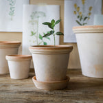 Pot Flora-Angelo