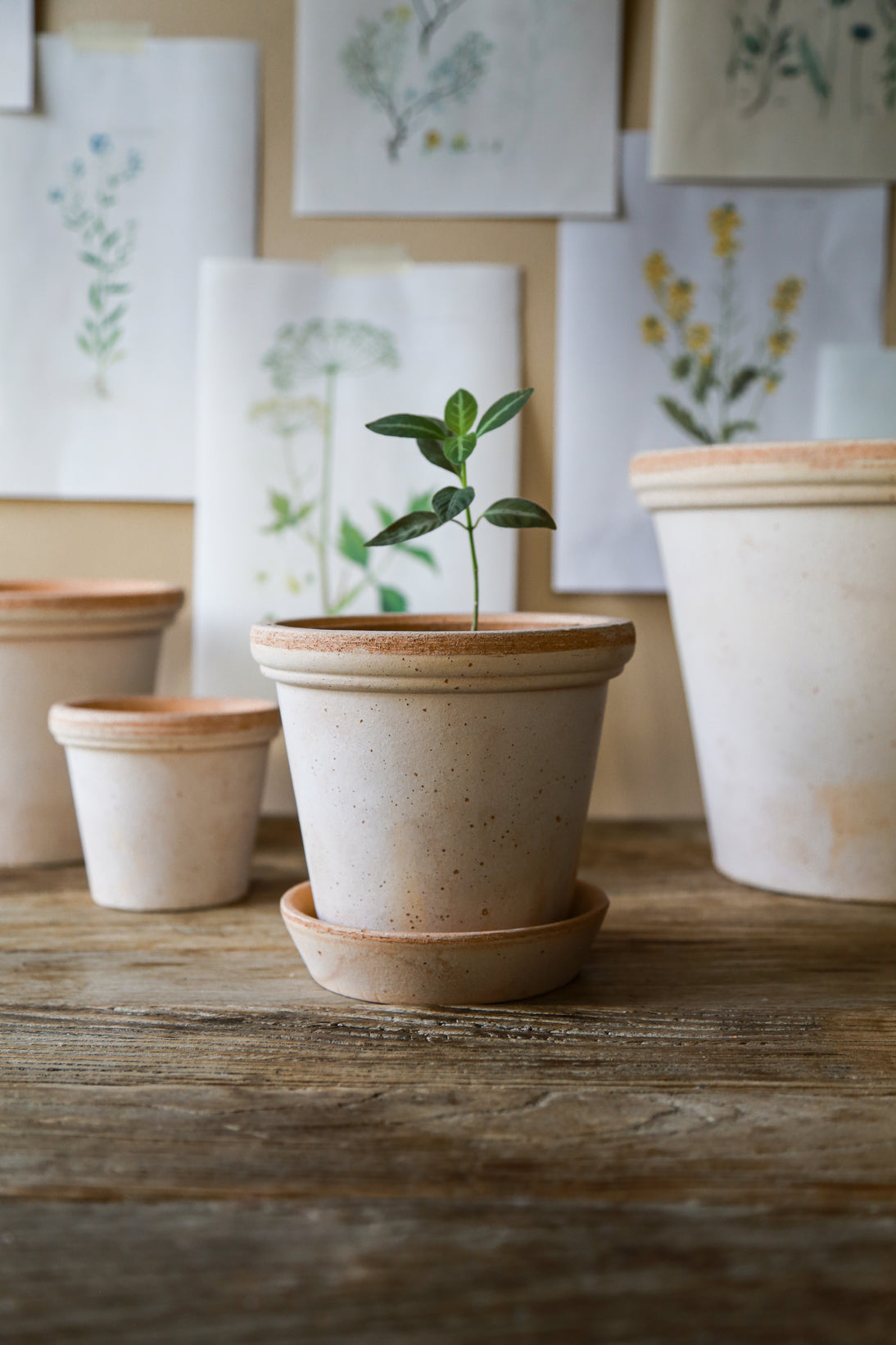 Pot Flora-Angelo
