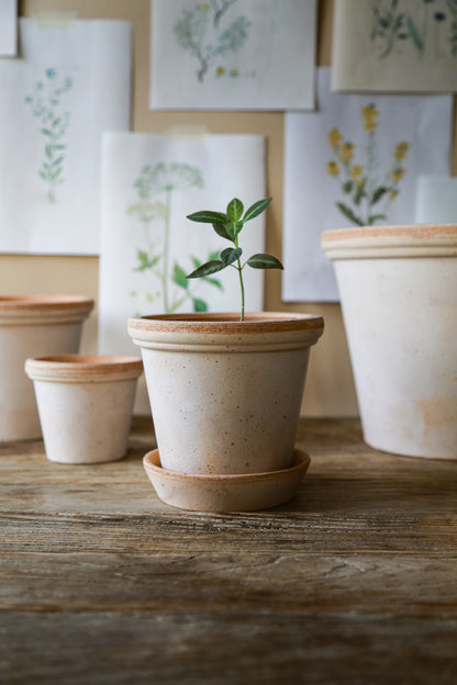 Pot Flora-Angelo