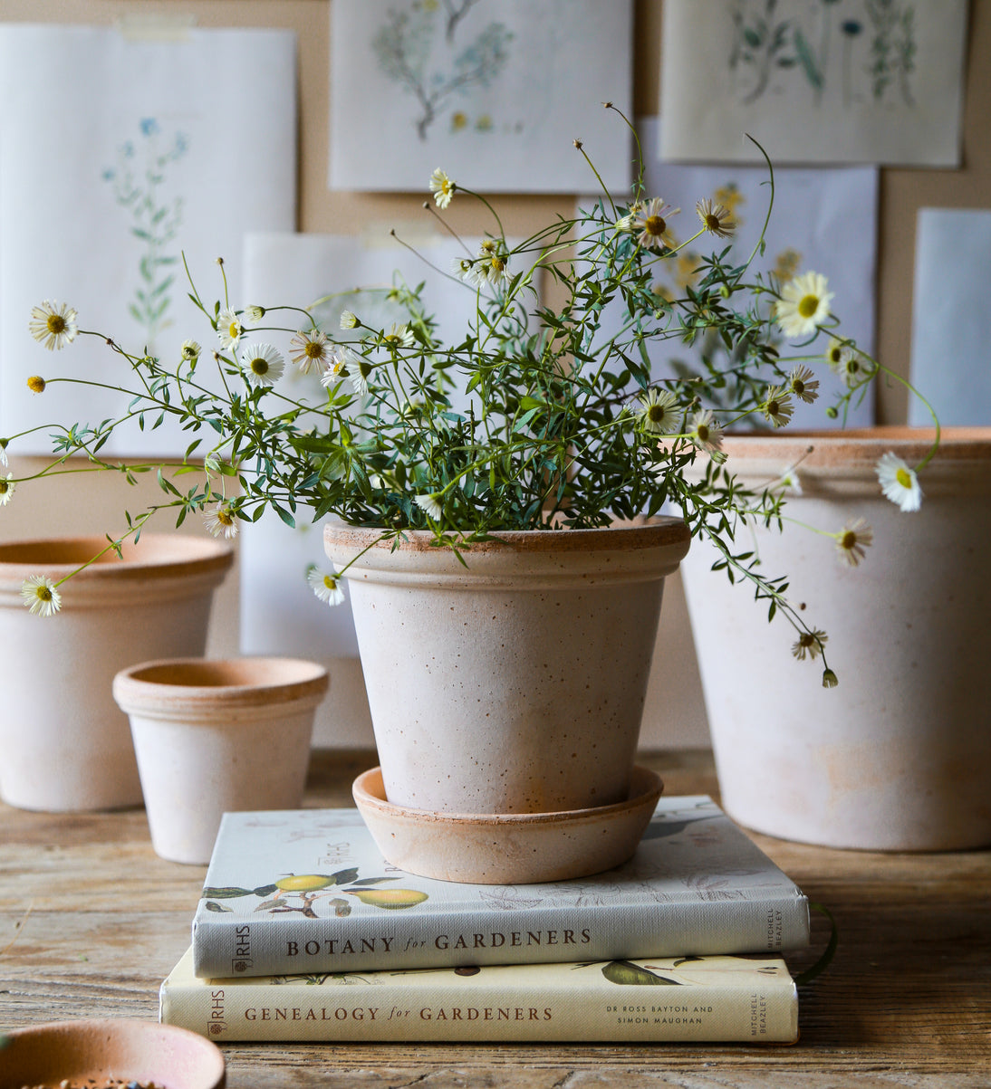 Pot Flora-Angelo