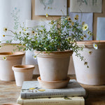 Pot Flora-Angelo