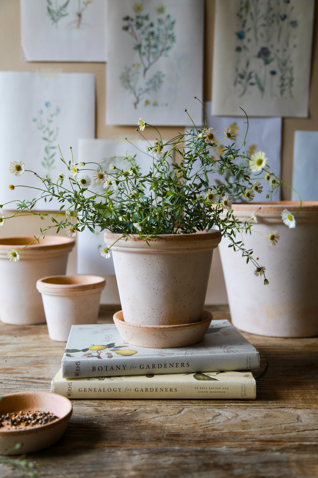 Pot Flora-Angelo
