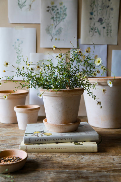 Pot Flora-Angelo