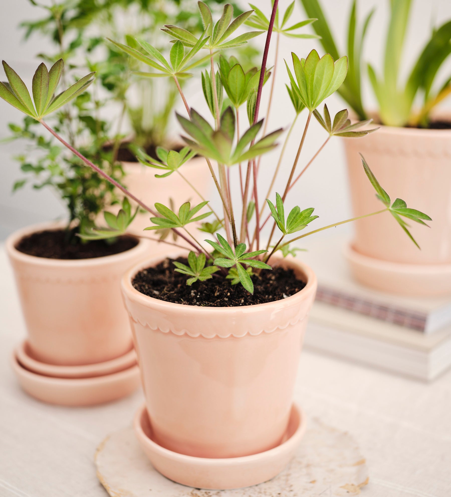 Pot Helena - roze-Angelo