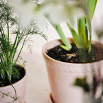 Pot Helena - roze-Angelo