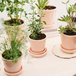 Pot Helena - roze-Angelo