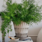 Pot Pantheon-Angelo