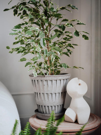 Pot Pantheon-Angelo