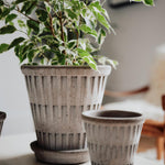 Pot Pantheon-Angelo