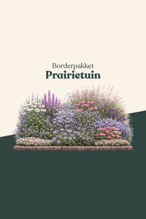 Borderpakket: Prairietuin-Angelo