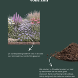 Borderpakket: Prairietuin