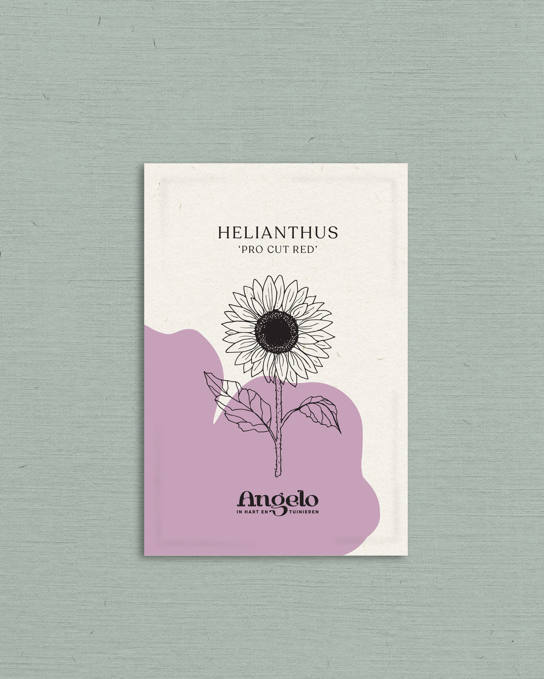 Helianthus &