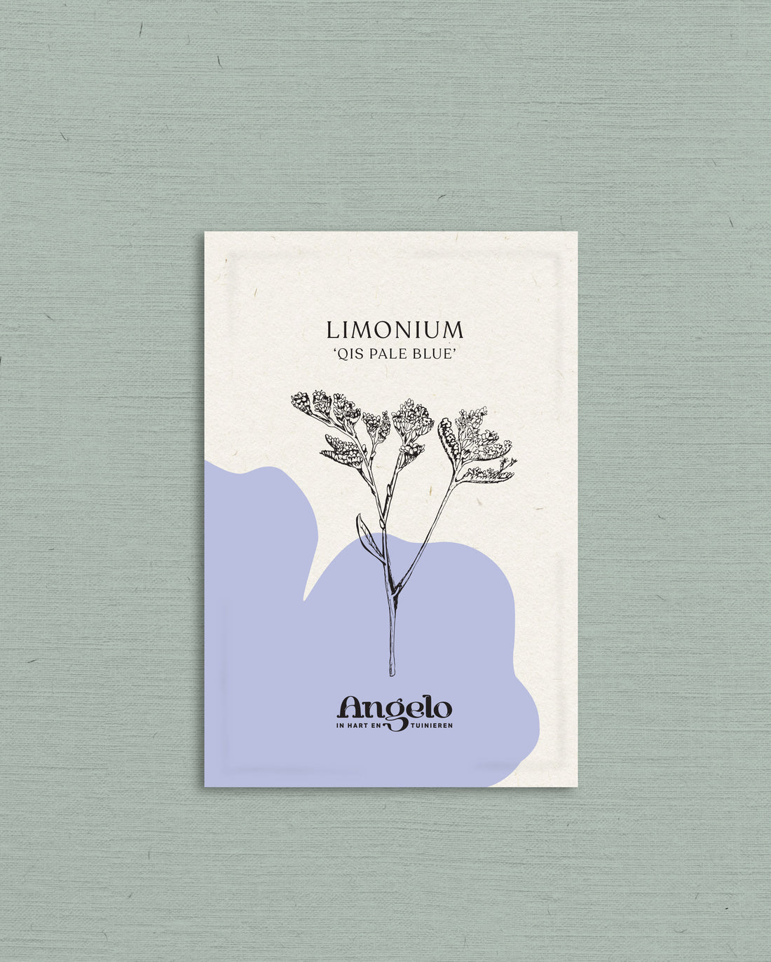 Limonium sinuatum&