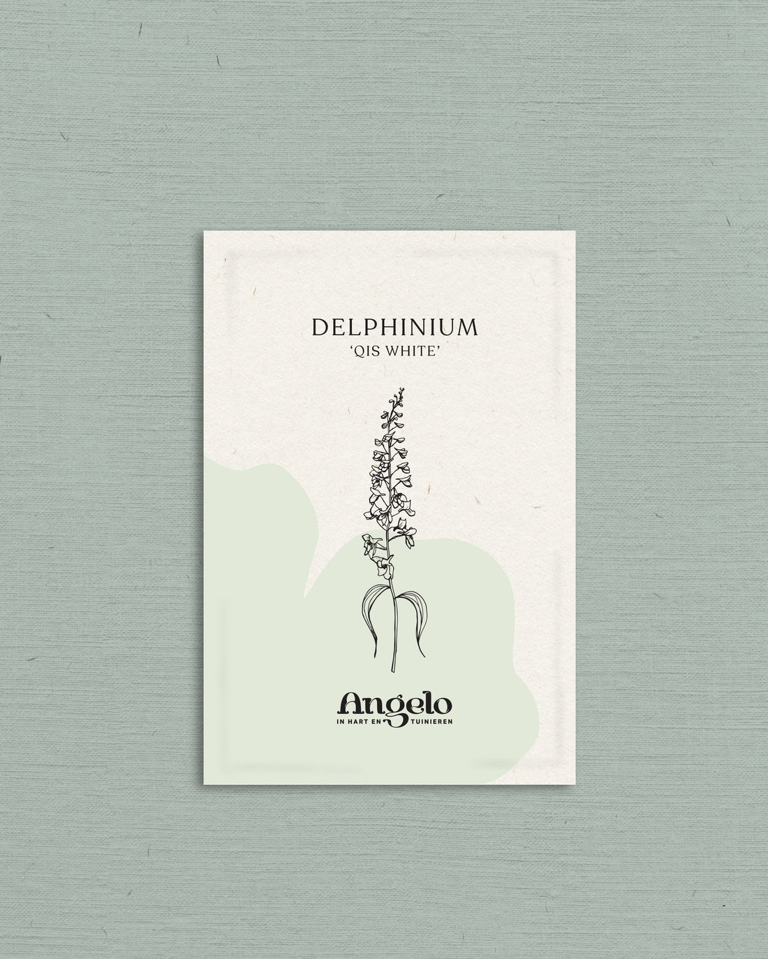 Delphinium consolida &