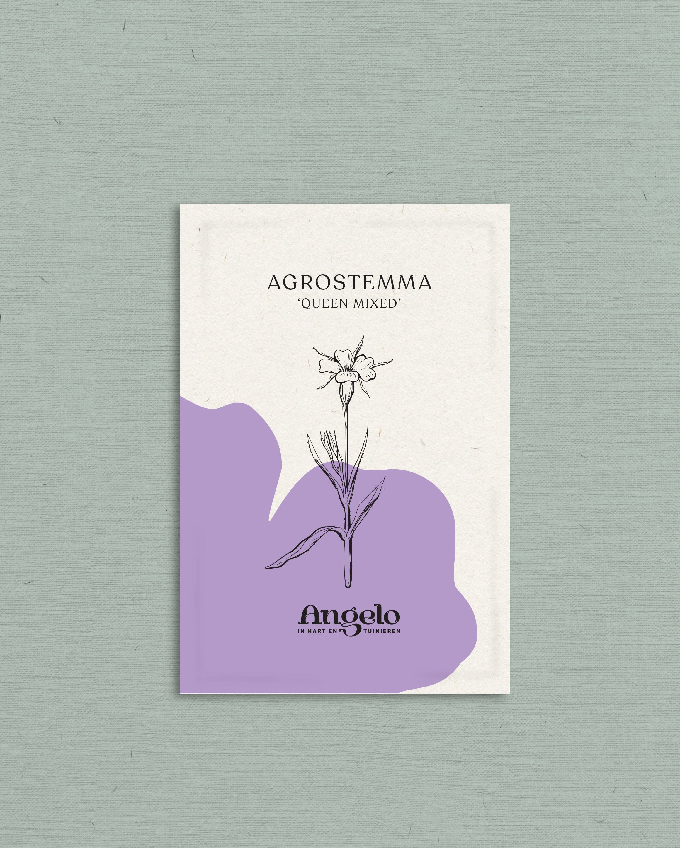 Agrostemma gracilis &