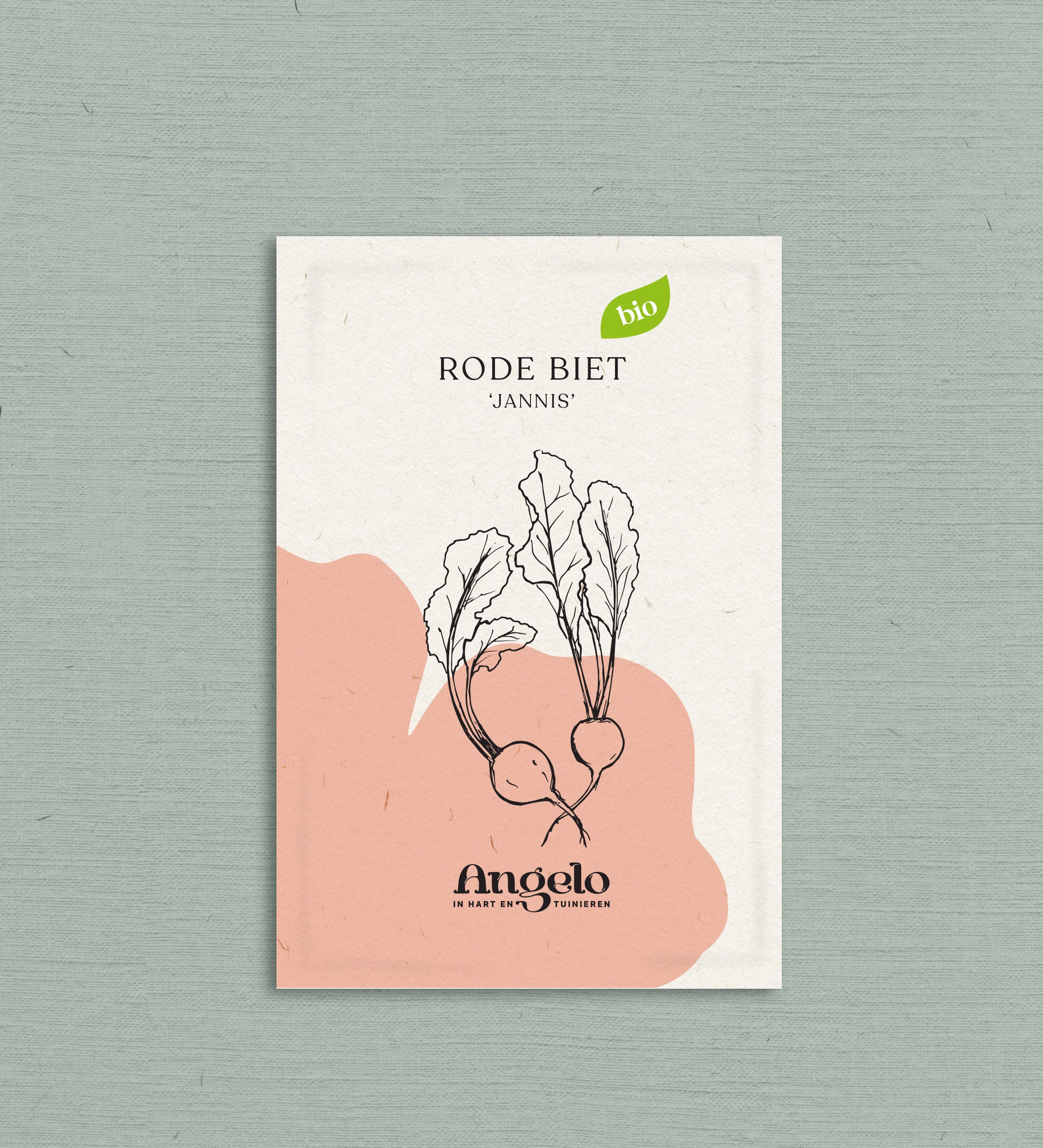 Rode biet 'Jannis'-Angelo