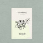 Romanesco 'Natalino'-Angelo