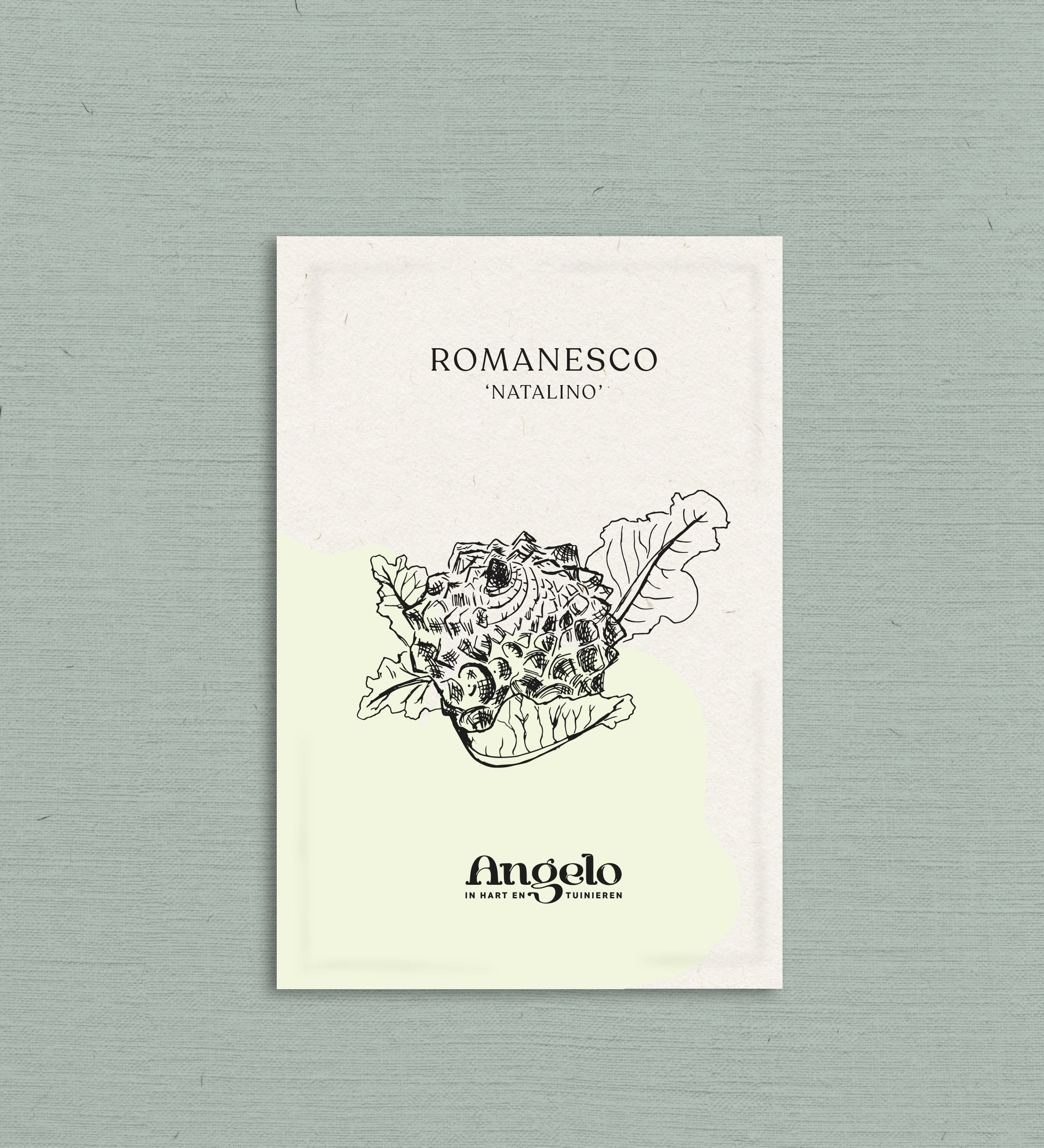 Romanesco 'Natalino'-Angelo