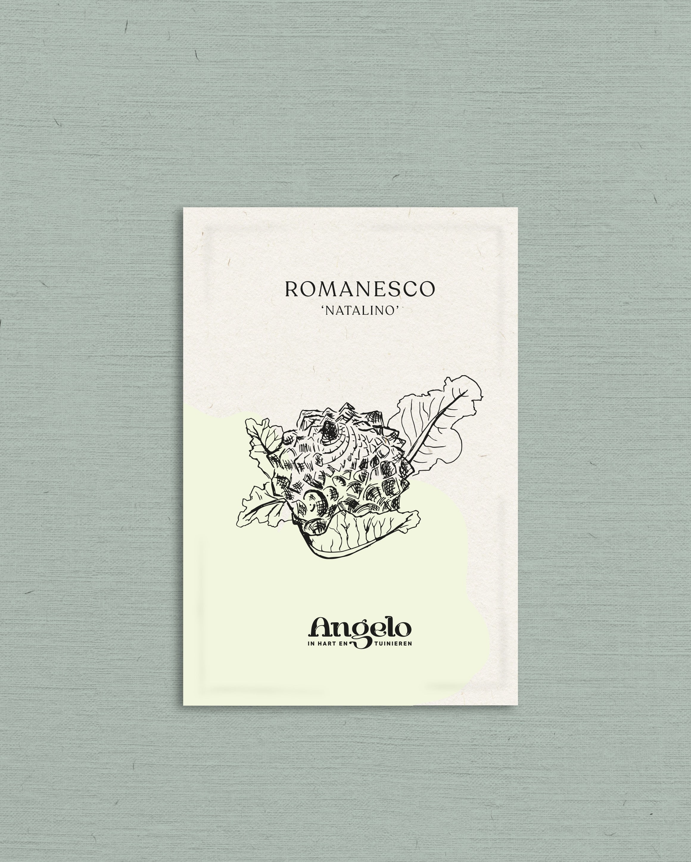 Romanesco 'Natalino'-Angelo
